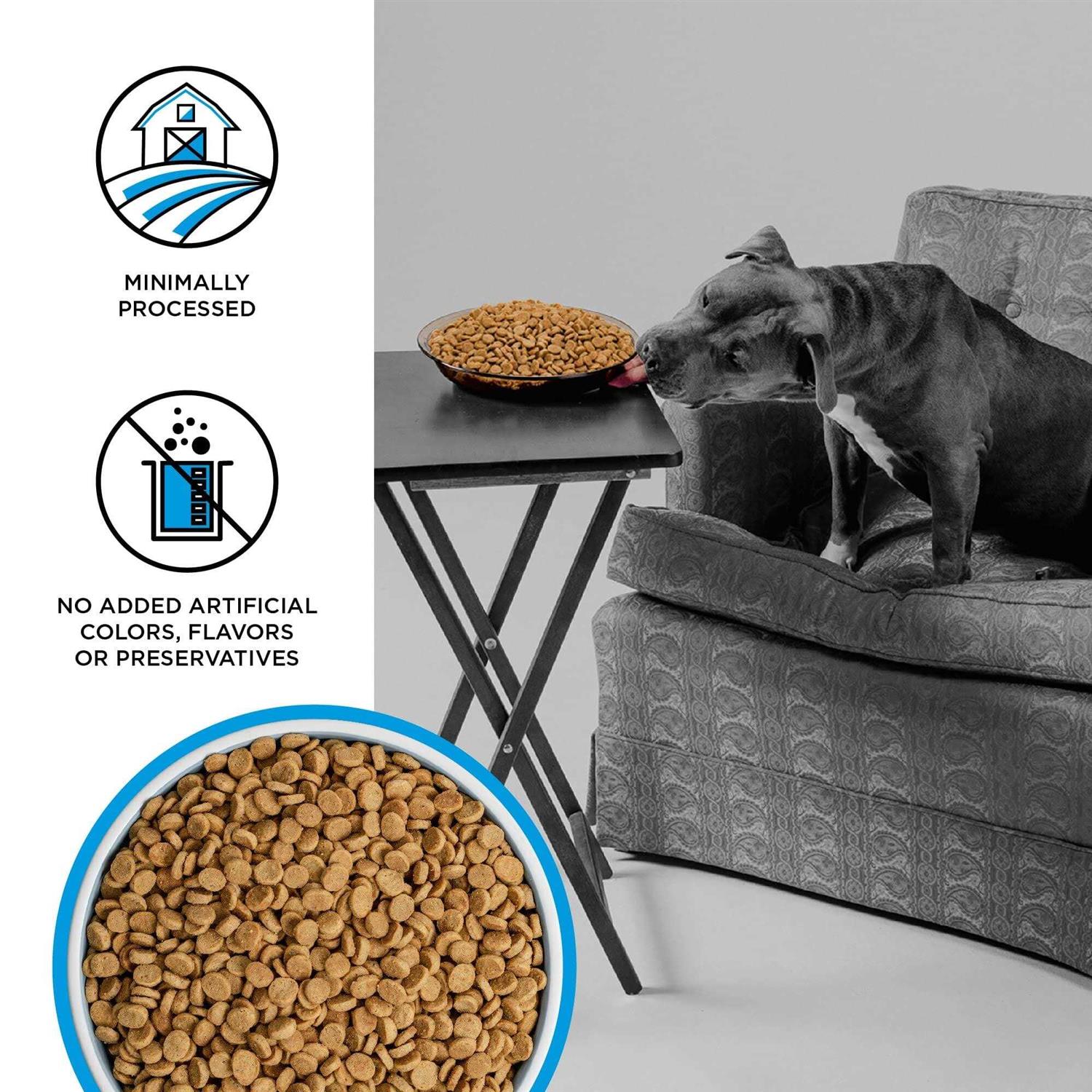 Bixbi Liberty Fisherman's Catch Grain-Free Dry Dog Food - Pet Supplies online store