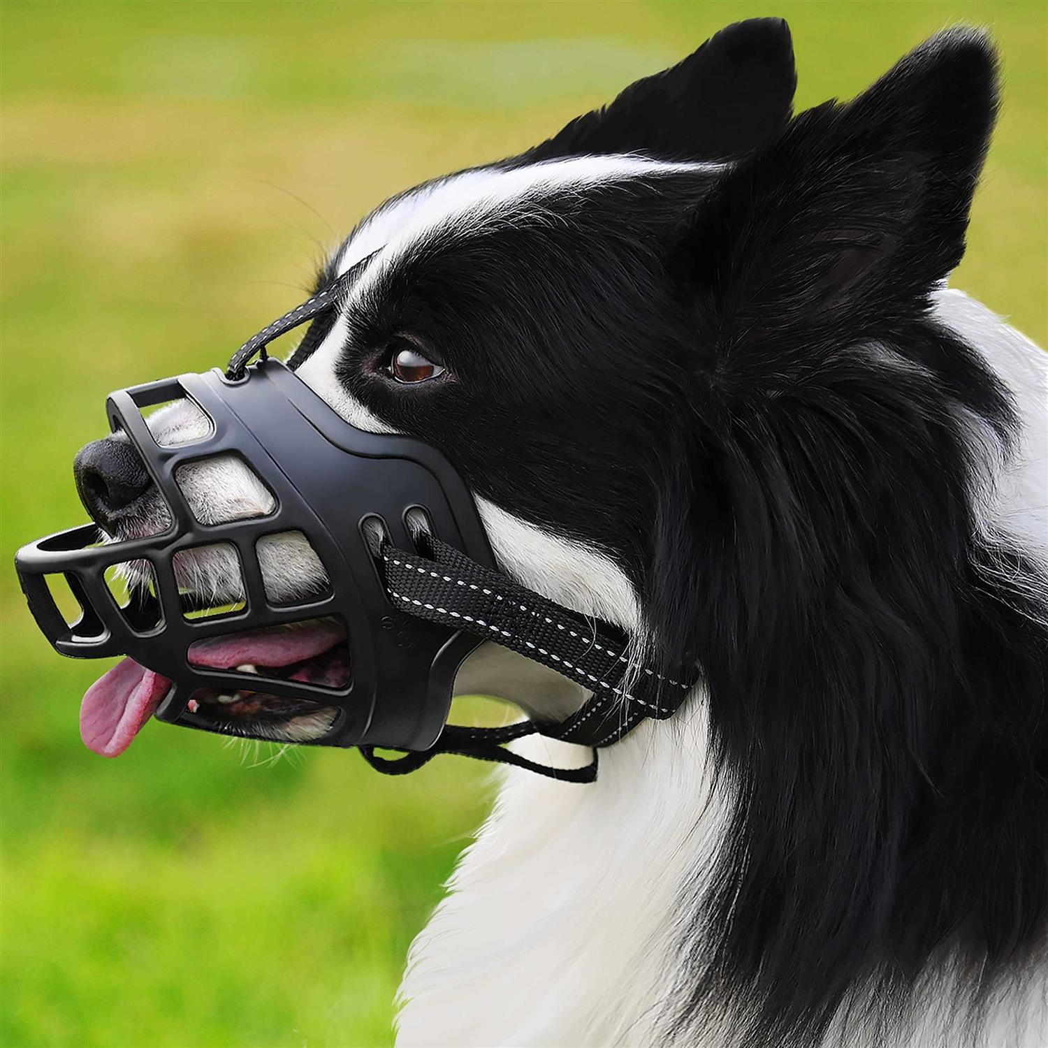 Dog Muzzle,Anti Biting and Stop Chewing,Drinking and Breath Free - Pet Supplies online store