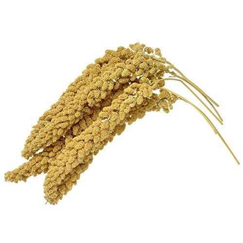 Birds LOVE Wholesome & Lovely Spray Millet GMO Free No Pesticide for Parrots Cockatiel Lovebird Parakeet Finch Canary - Pet Supplies online store