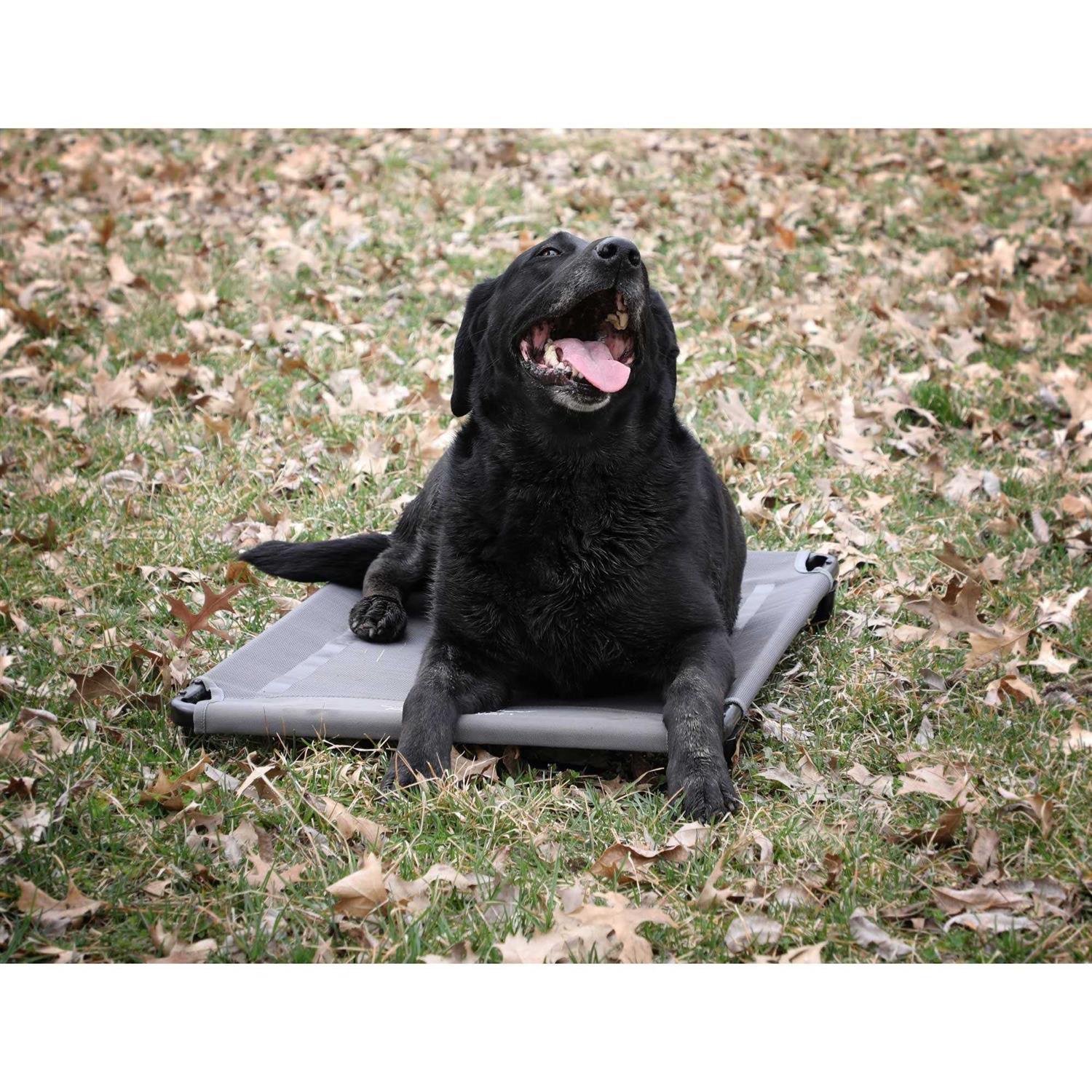 MOmarsh Kennel Cot - Pet Supplies online store