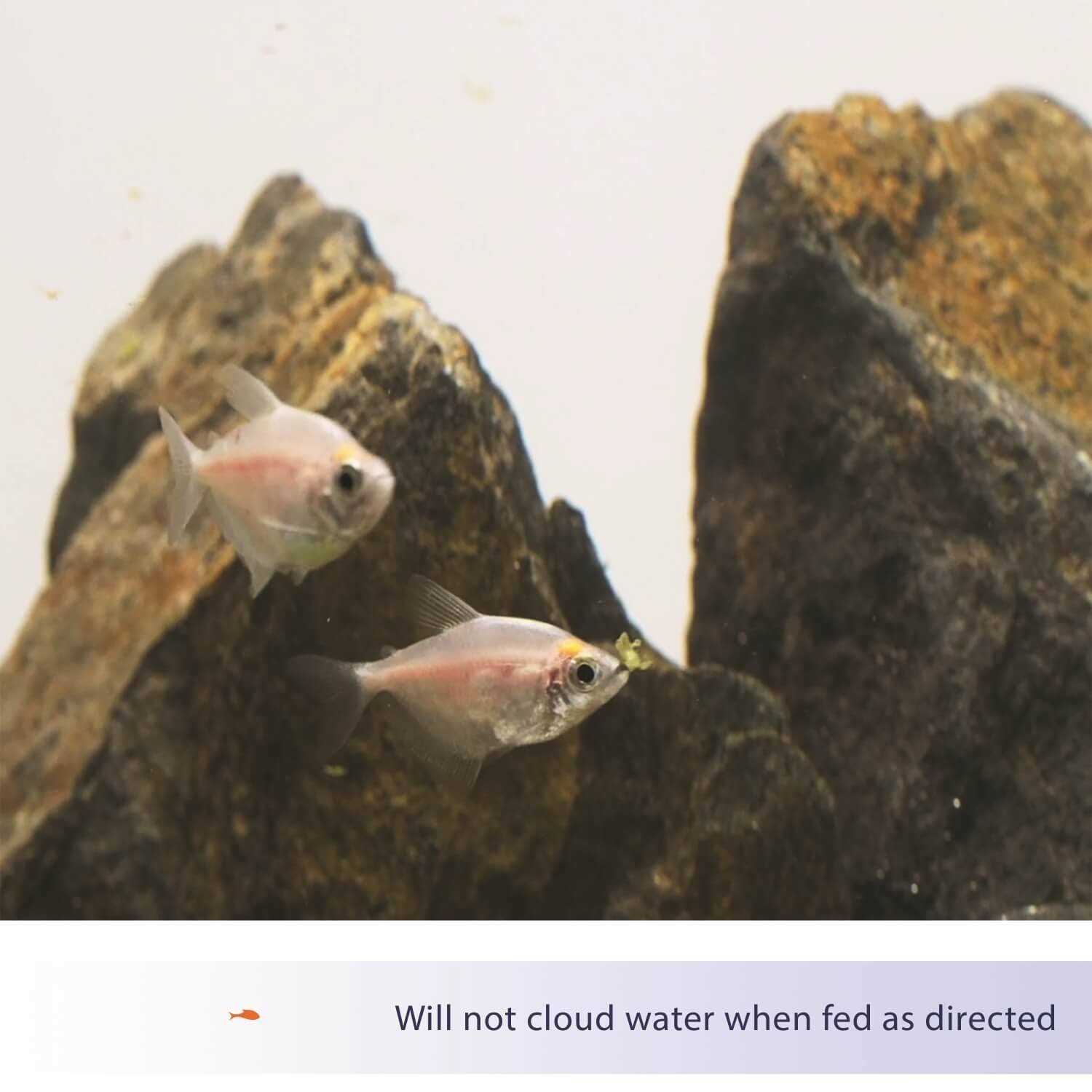 Aqueon Food Tropical Flakes - Pet Supplies online store