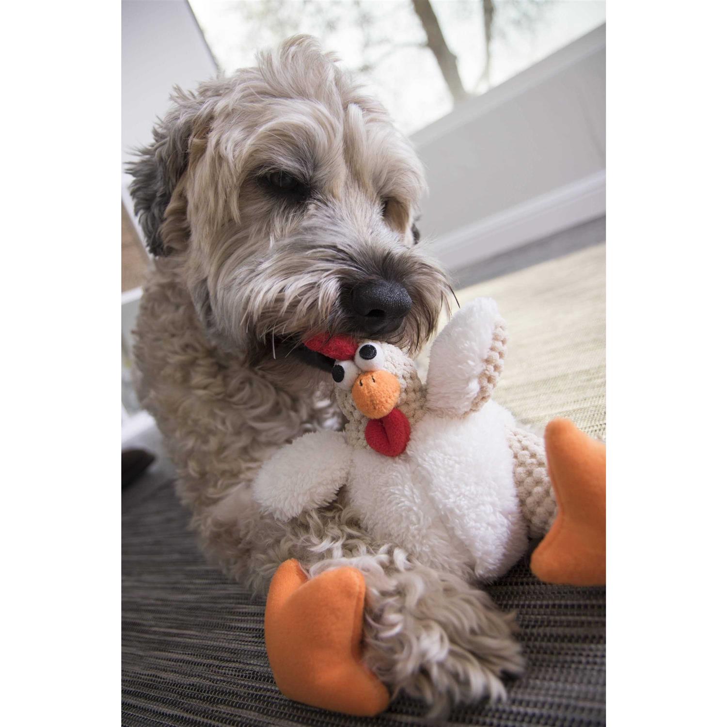 goDog Checkers Fat Rooster Dog Toy - Pet Supplies online store