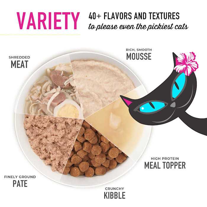 Tiki Cat Velvet Mousse Senior Salmon Wet Food - Pet Supplies online store