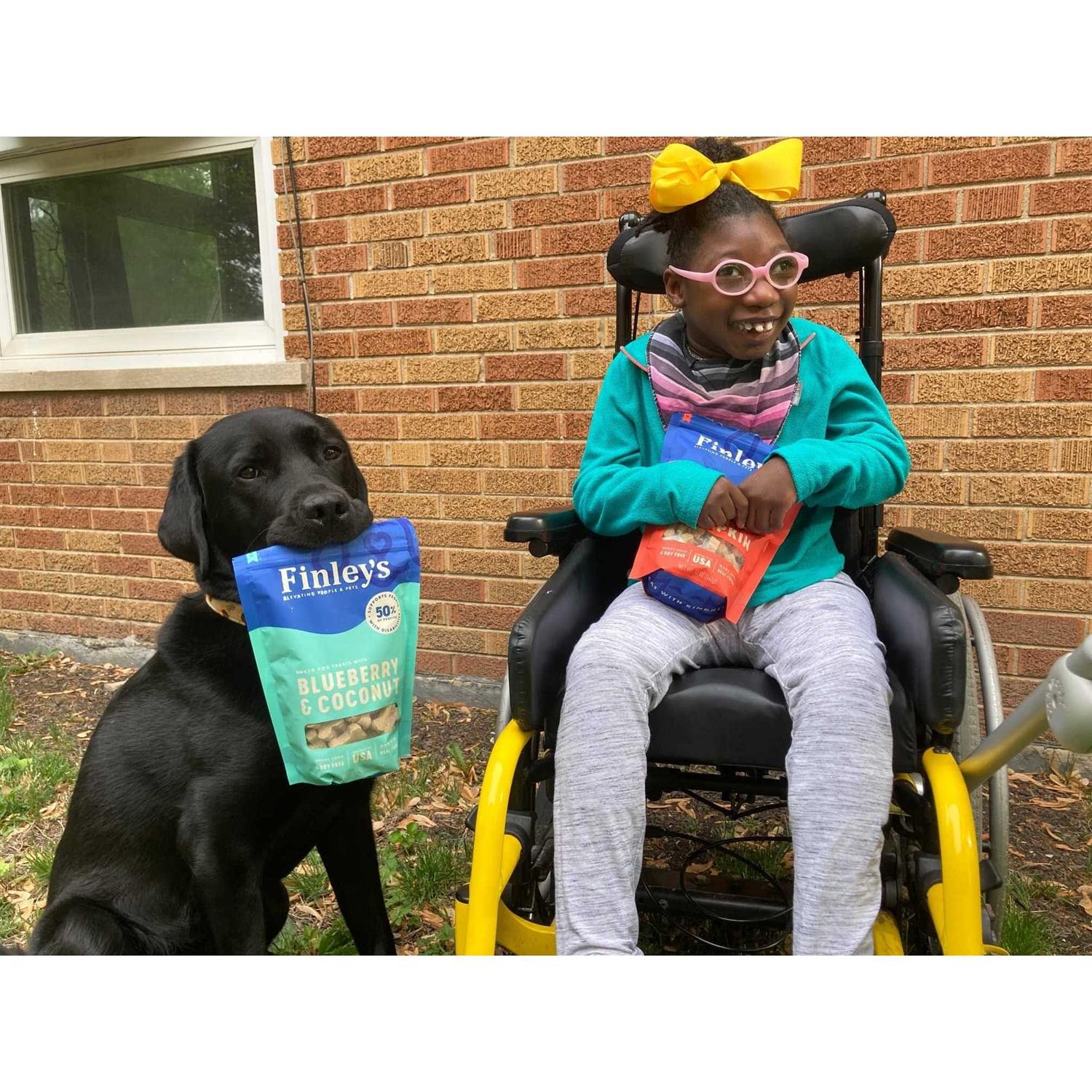 Finley's Skin Coat & Nails Soft Chew Benefit Bars Dog Treats - Pet Supplies online store