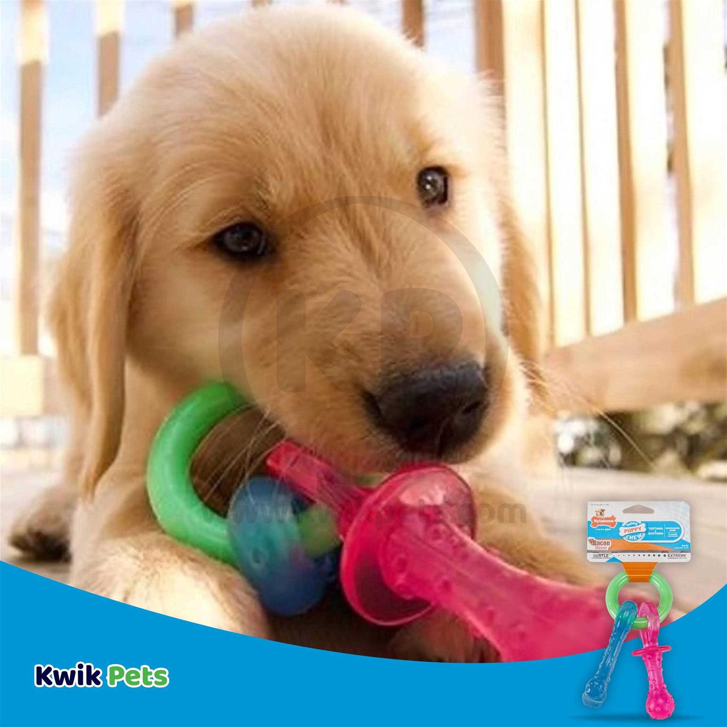 Nylabone Puppy Chew Teething Pacifier - Pet Supplies online store
