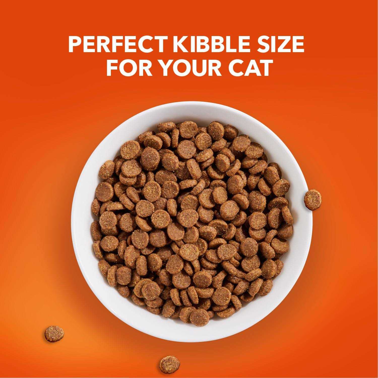 IAMS ProActive Lively Senior Dry Cat Food - Pet Supplies online store