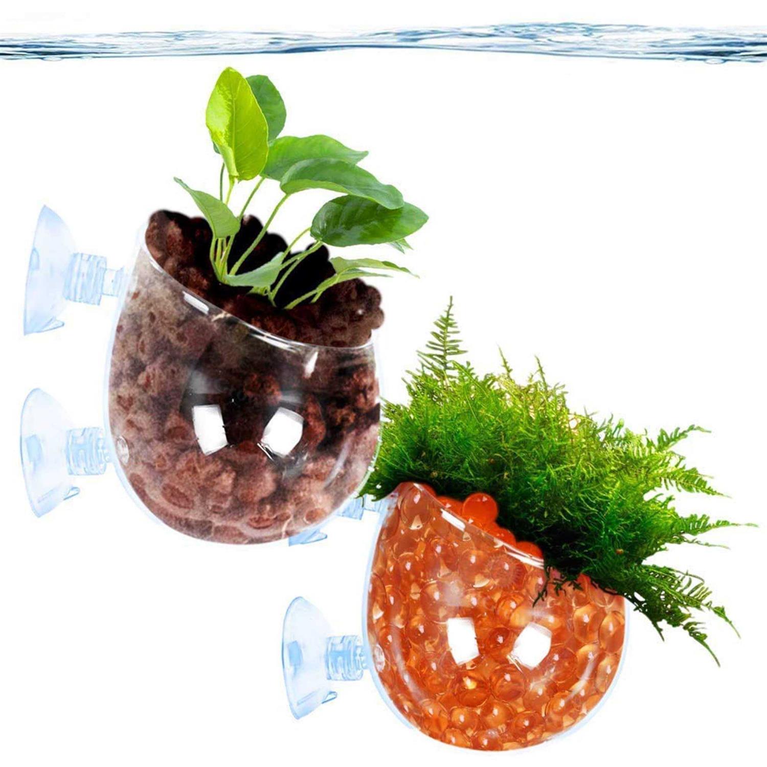 SunGrow 2-Pack Aquatic Plant Pot with Suction Cups Crested Gecko Food Holder - Pet Supplies online store