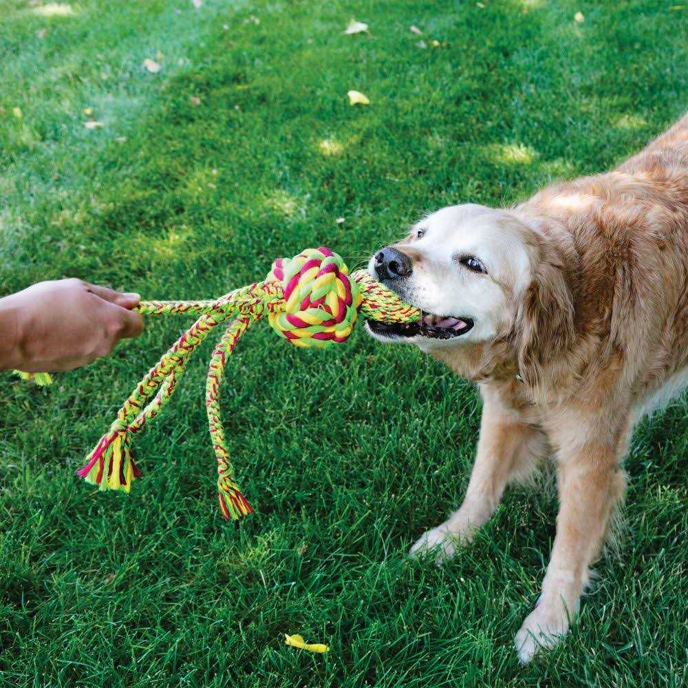 Kong Wubba Dog Toy - Pet Supplies online store