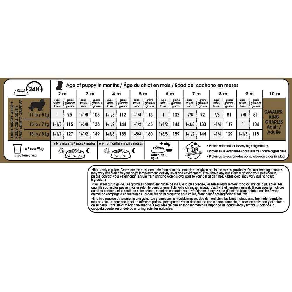 Royal Canin Breed Health Nutrition Cavalier King Charles Puppy Dry Dog Food - Pet Supplies online store