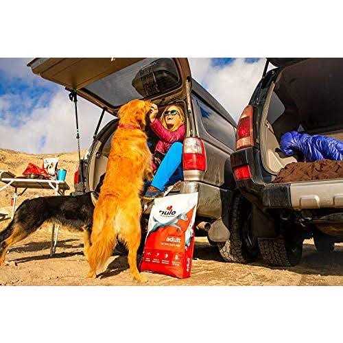 Nulo Frontrunner Turkey Dry Dog Food - Pet Supplies online store