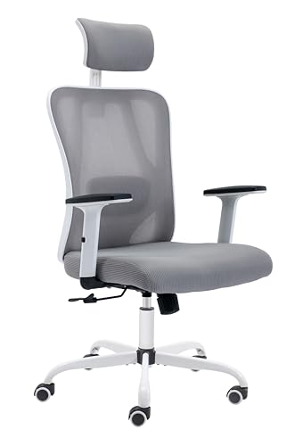 OHAHO Office Chair Mid Back Swivel Lumbar Support Desk Chair, Computer Ergonomic Home Mesh Chair with Armrest and Adjustable Headrest (Blue)