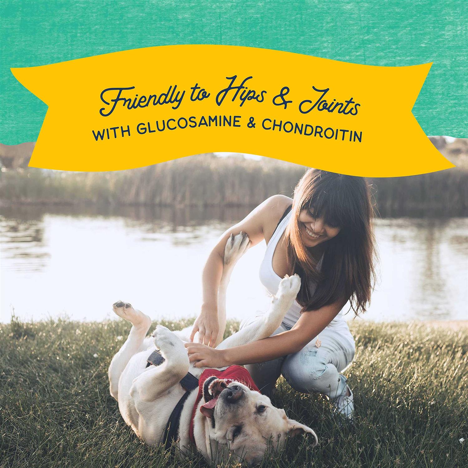 Natural Balance Rewards Jumpin' Stix Dog Treats - Pet Supplies online store