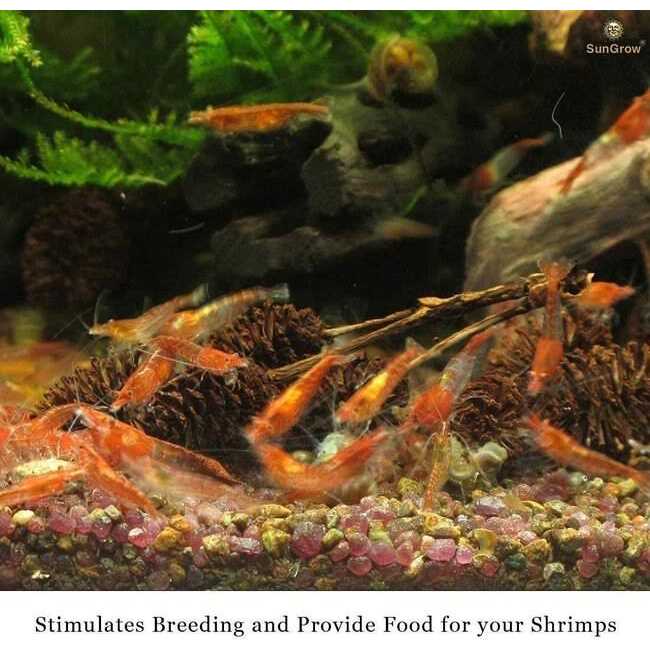 SunGrow Shrimp Breeding Aquarium Tank Water Conditioner & Food Alder Cones - Pet Supplies online store