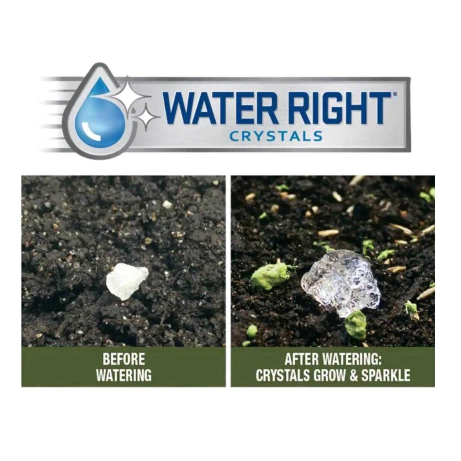 Earth Science Butterfly & Hummingbird Wildflower Mix - Pet Supplies online store