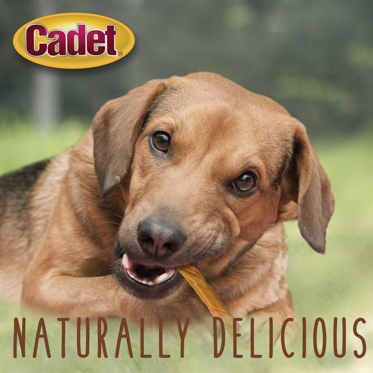 Cadet Choice Chews Peanut Butter Twists Dog Treats - Pet Supplies online store