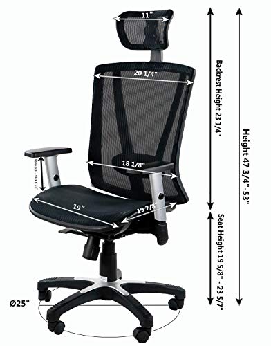 ErgoMax Ergonomic Adjustable All Mesh Breathable, Back Relief & Lumbar Support Home & Office Desk Chair, 53 Inch Max Height, Blue