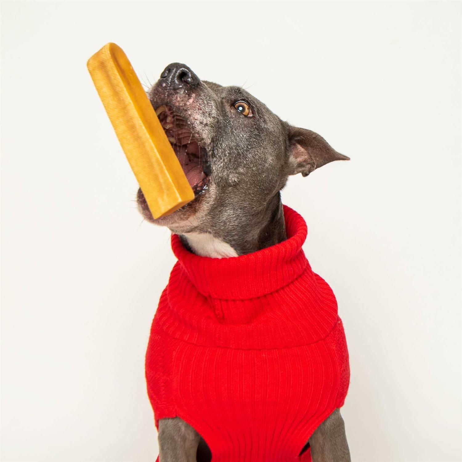 Best Bully Sticks Himalayan Golden Yak Cheese Chews Mixed Pack Dog Treats - Pet Supplies online store