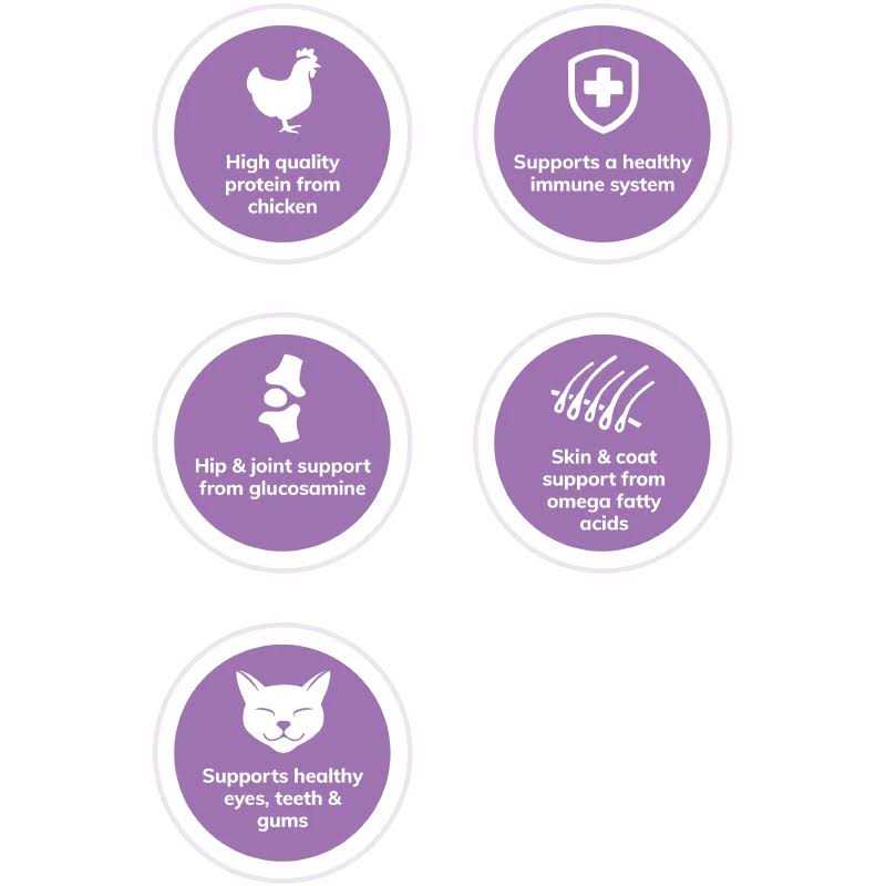 Wellness Complete Health Grain-Free Indoor Deboned Chicken Recipe Dry Cat Food - Pet Supplies online store