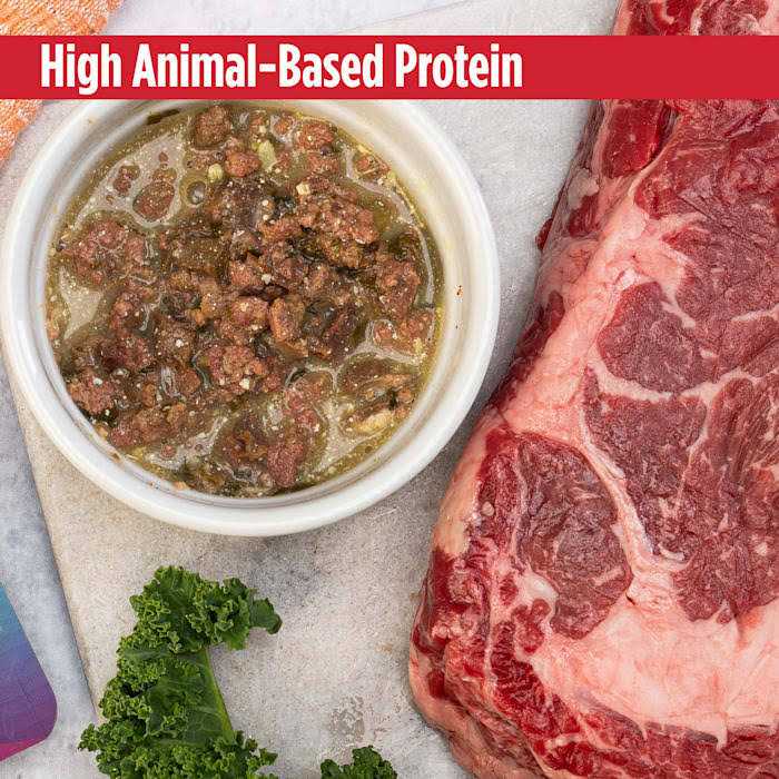 Nulo MedalSeries Limited Ingredient Broth Wet Dog Food - Pet Supplies online store