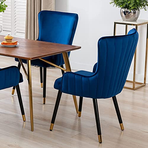Guyou Velvet Dining Chairs Set of 4 Upholstered Kitchen Chairs, Accent Guest Chair Wingback Dining Room Chair Side Chair with Quilting Back and Gold Legs for Living Room Vanity (Royal Blue, 4 pcs)
