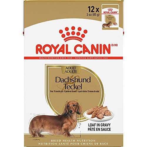 Royal Canin Breed Health Nutrition Dachshund Loaf in Gravy Pouch Dog Food - Pet Supplies online store
