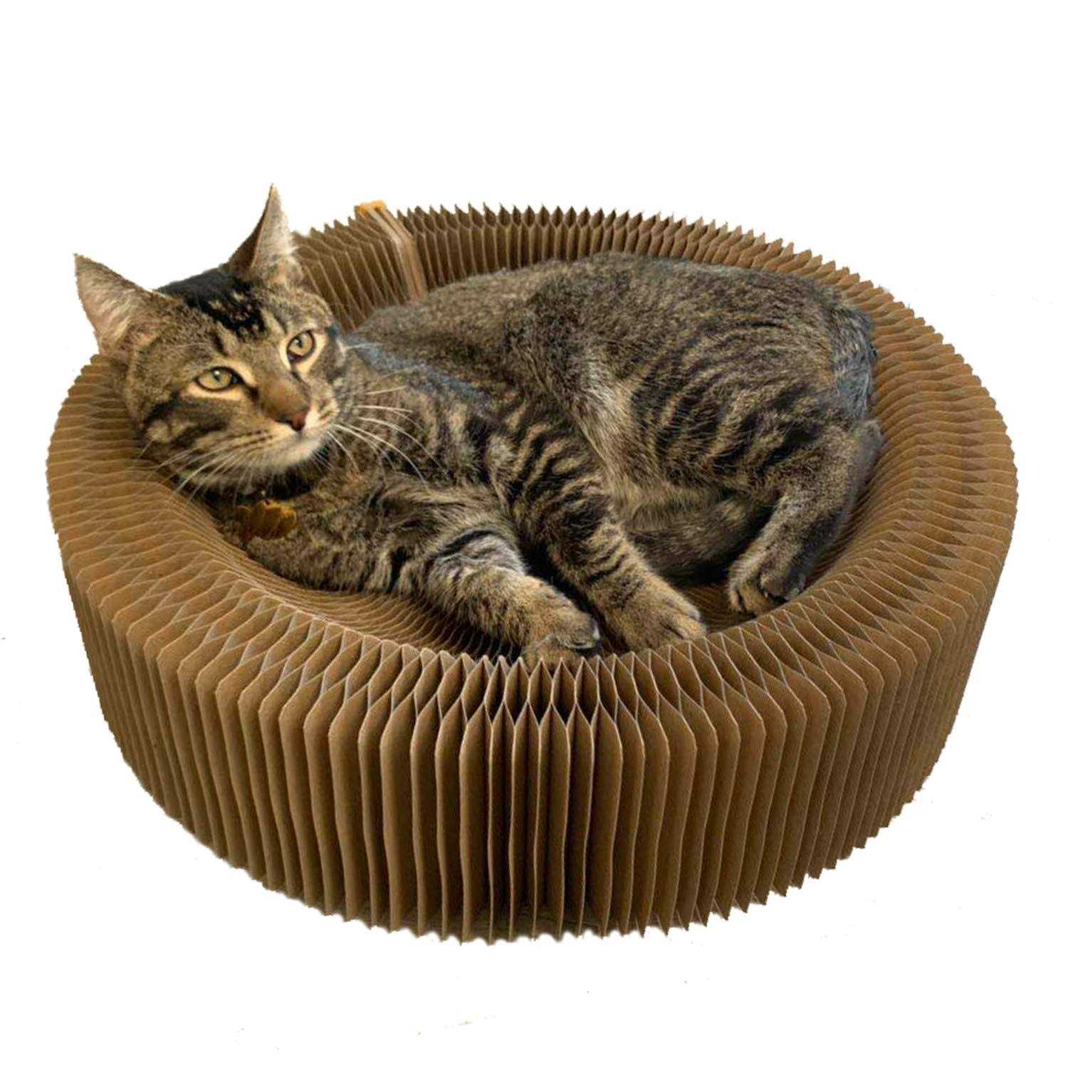 bobbypet cat scratcher lounge bed - Pet Supplies online store