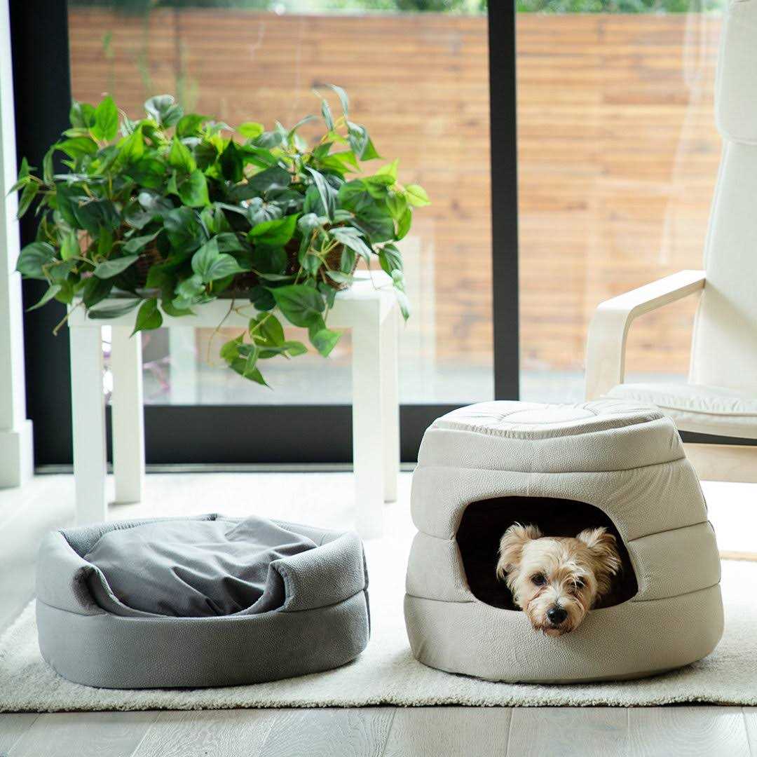 Best Friends by Sheri 2-in-1 Honeycomb Hut-Cuddler - Pet Supplies online store