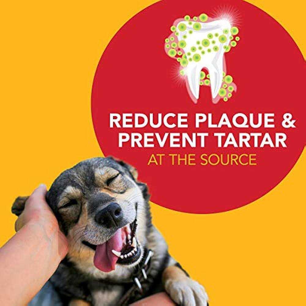 Petrodex Natural Toothpaste for Dogs - Pet Supplies online store