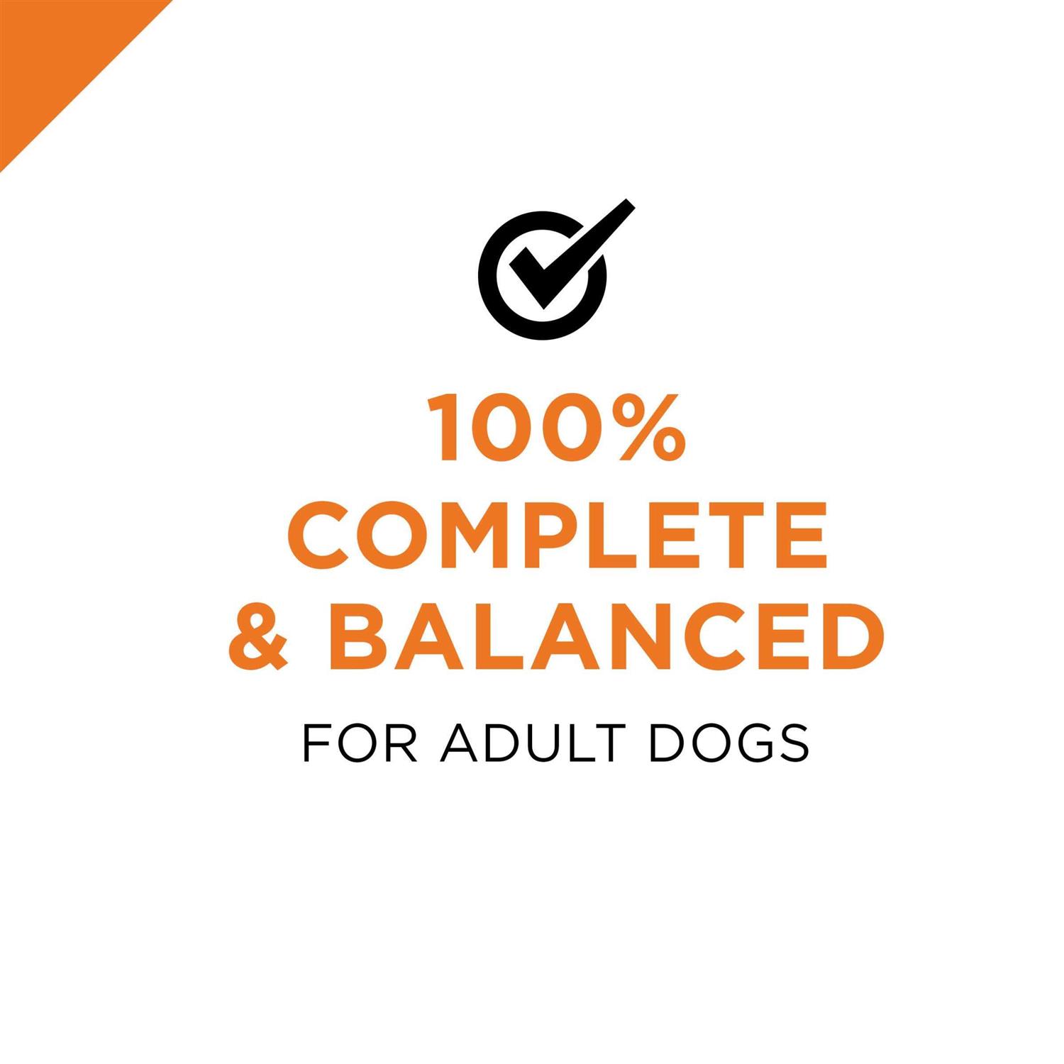 Purina Pro Plan Free Beef Entree Wet Dog Food - Pet Supplies online store