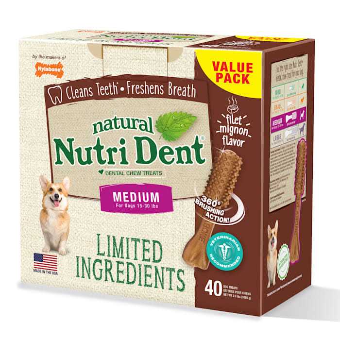 Nylabone Nutri Dent Dental Chews Filet Mignon - Pet Supplies online store