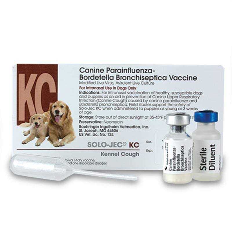 Solo-Jec KC Intranasal Vaccine - Pet Supplies online store