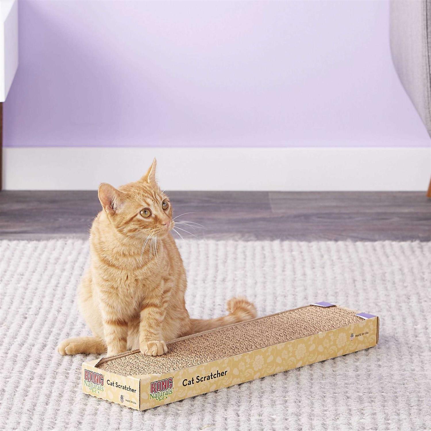 KONG Scratcher Refill for Incline-Double Scratcher - Pet Supplies online store