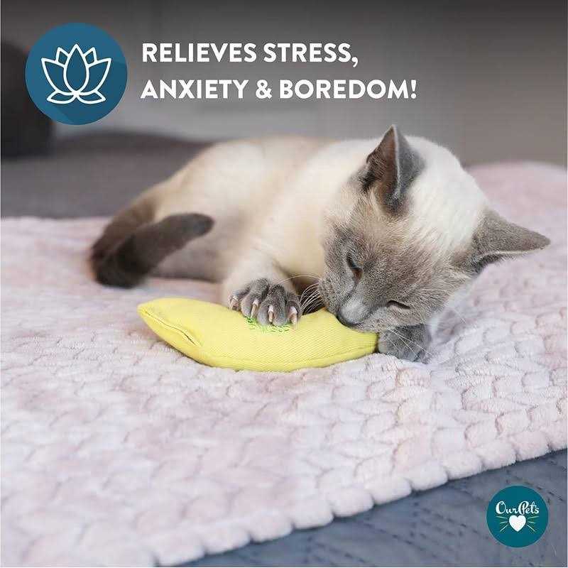 Vibrant Life Catnip Filled Banana Shaped Cat Toy for Cats & Kittens - Pet Supplies online store