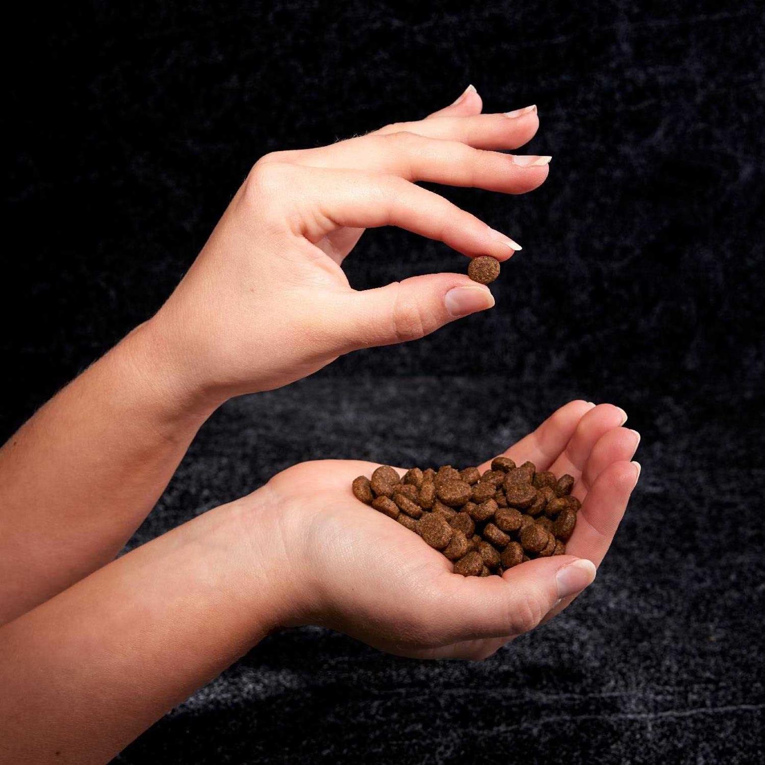 Crave Grain Free Adult Dry Dog Food with Protein - Pet Supplies online store