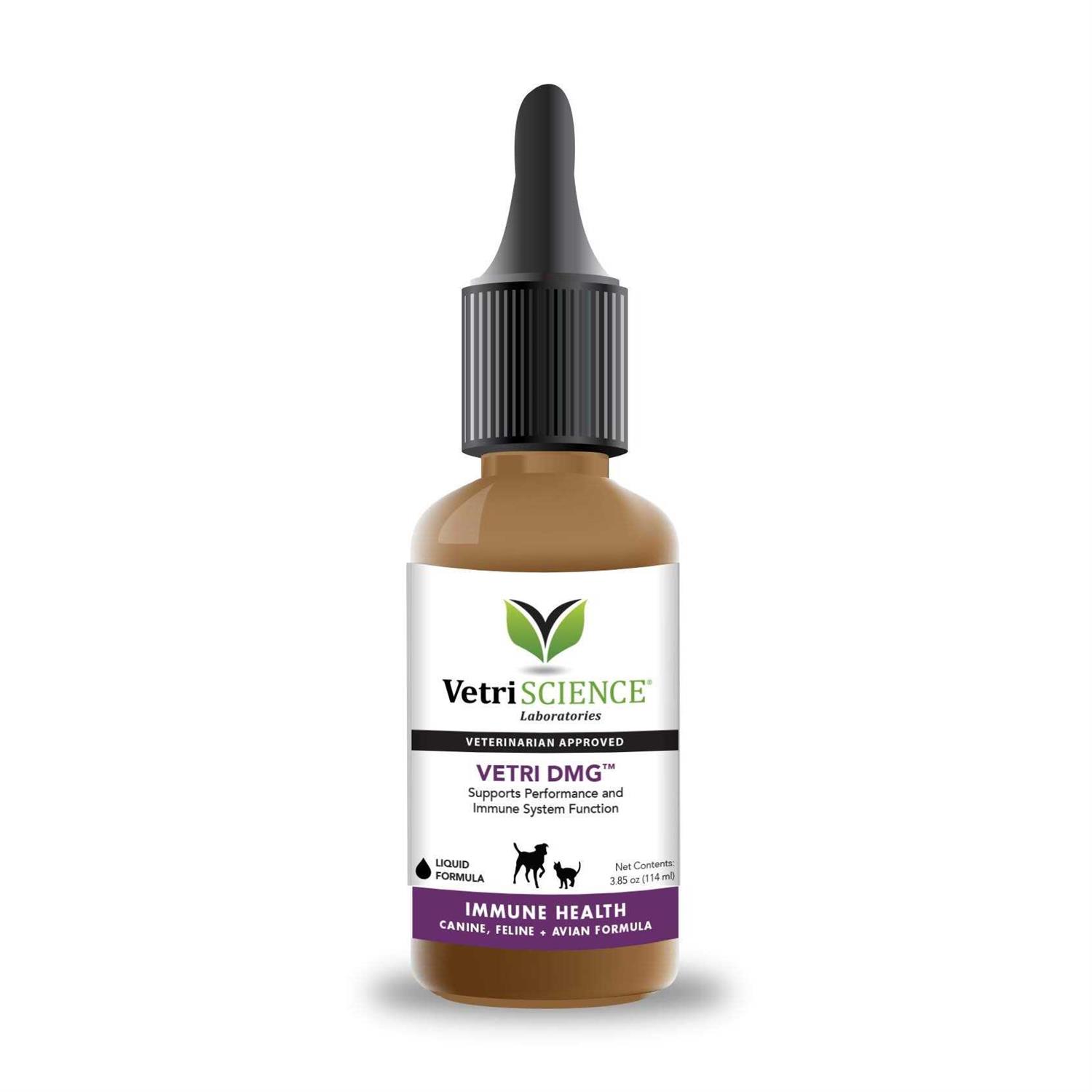 Vetri-DMG Liquid - Pet Supplies online store