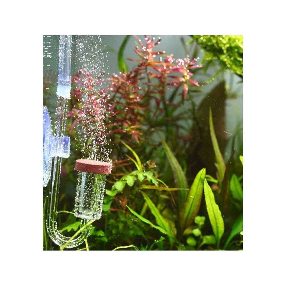 Aquario Neo CO2 - Pet Supplies online store