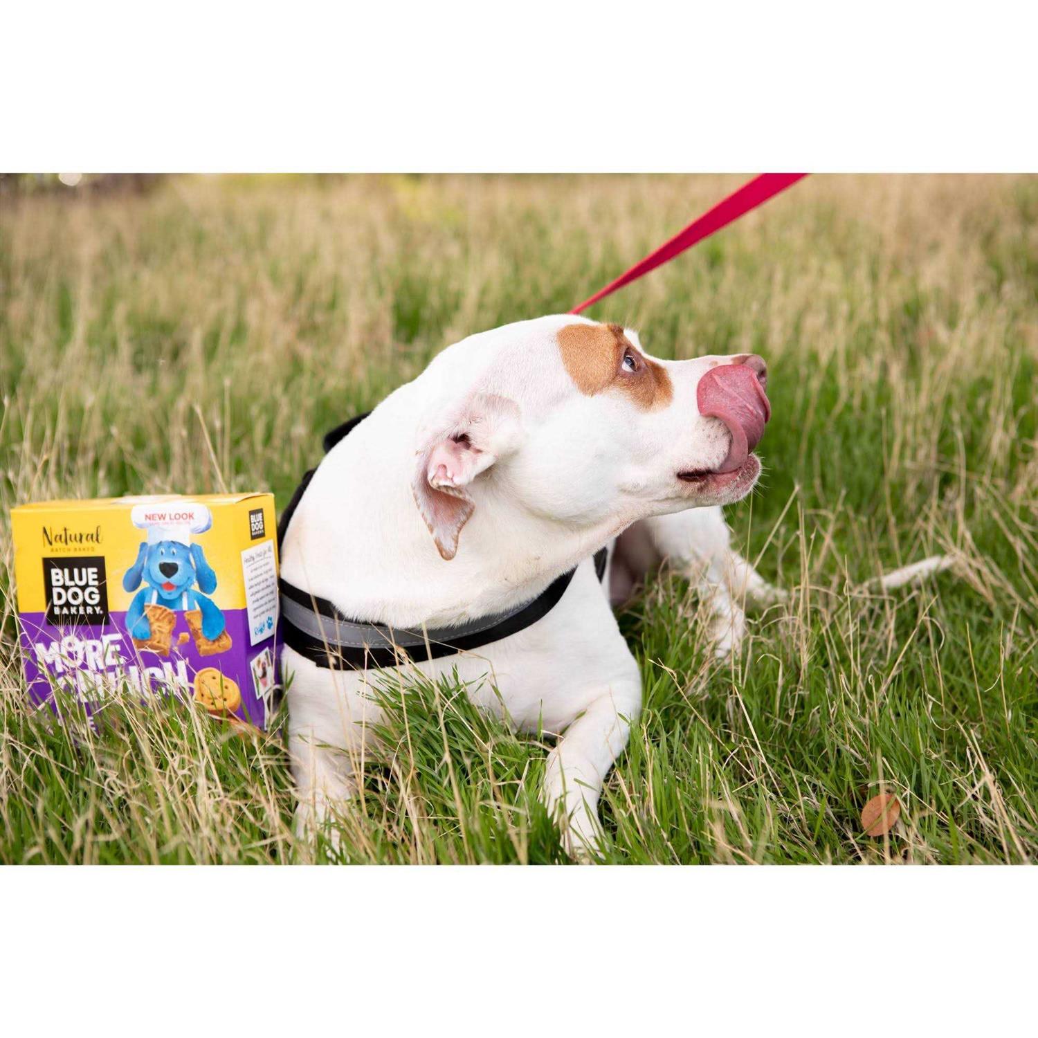 Blue Dog Bakery More Crunch Assorted Flavors Dog Treats - Pet Supplies online store