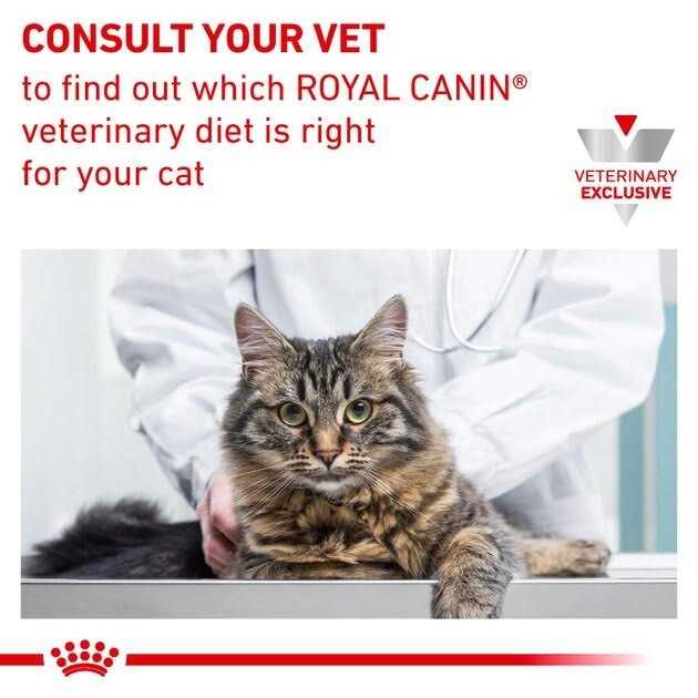 Royal Canin Veterinary Diet Feline Calm Dry Food - Pet Supplies online store