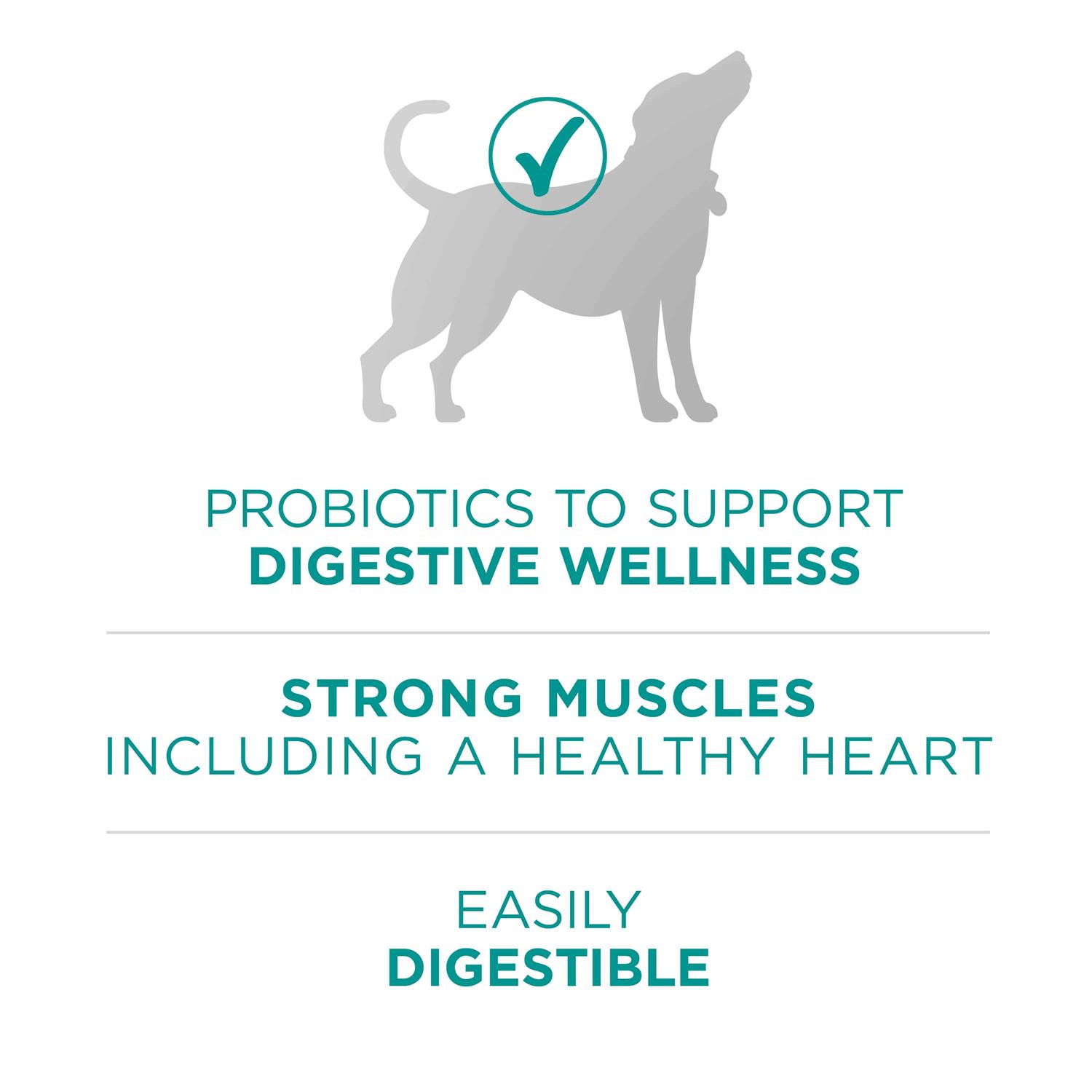 Purina ONE Digestive Health Dry Dog Food - Pet Supplies online store