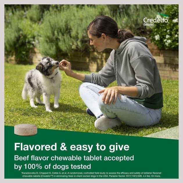 Credelio Chewable Tablet for Dogs - Pet Supplies online store