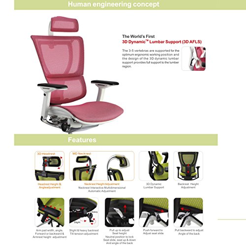 Ergohuman Black Mesh Hi Swivel Chair Mesh Office Chair (Green)