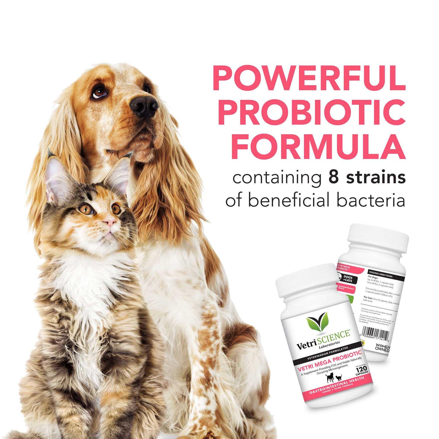 VetriScience Vetri Mega Probiotic - Pet Supplies online store