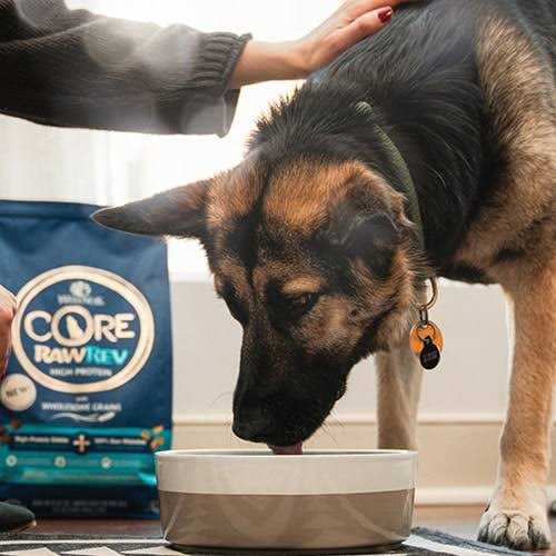 Wellness CORE RawRev Grain Free Whitefish Dog Food - Pet Supplies online store