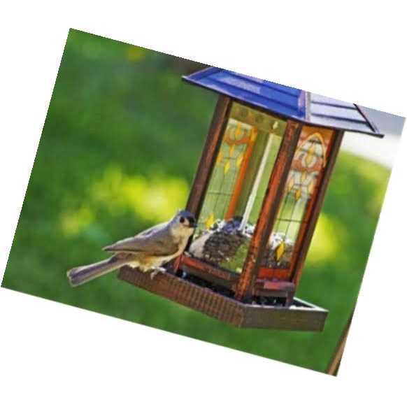 Wagner's 5 Lb 100% Striped Sunflower Seed - Pet Supplies online store