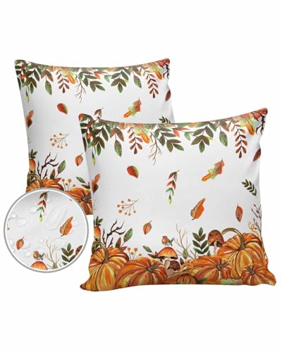 Outdoor Pillow Covers Waterproof, Fall Pumpkins Throw Pillowcase Decorative Cover, Autumn Eucalyptus Leaves Brown Wooden Garden Cushion Case Set of 2 for Sofa, Couch, Tent, Patio, 18