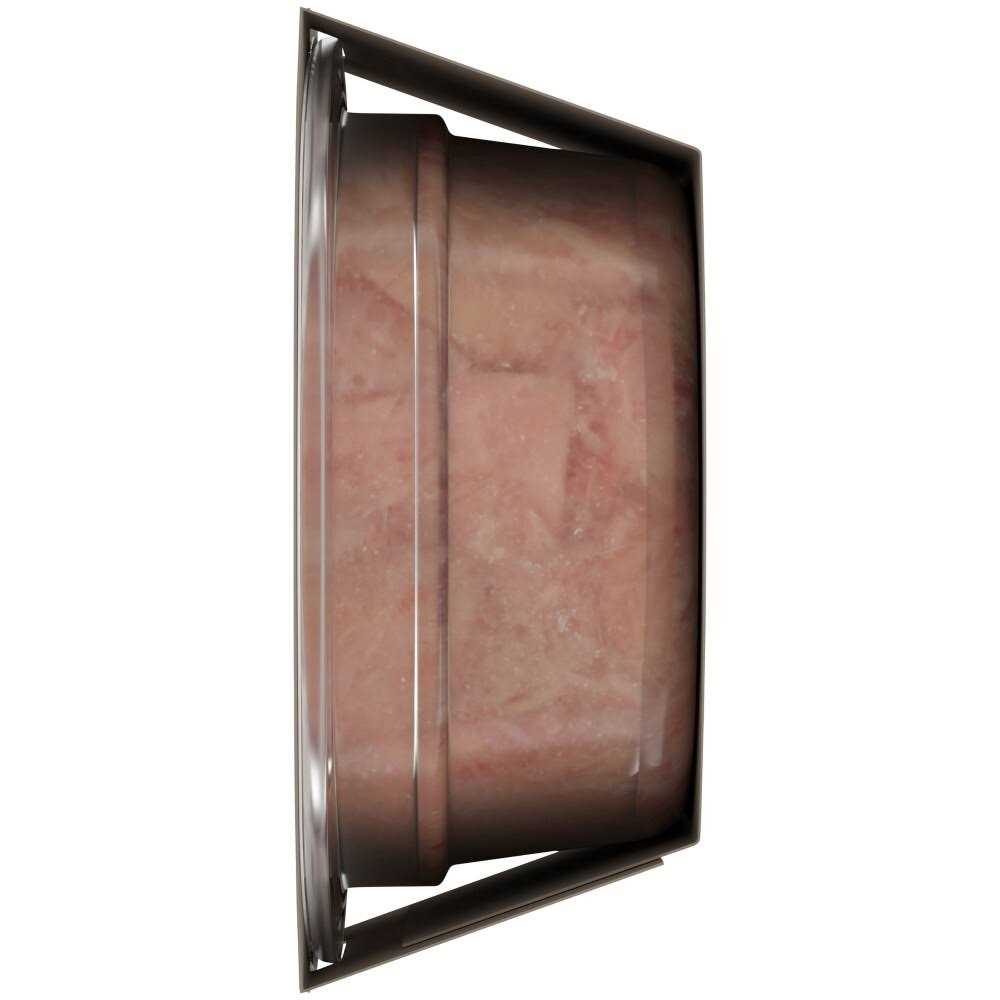 Purina Fancy Feast Purely Natural Tender Tongol Tuna Wet Cat Food - Pet Supplies online store