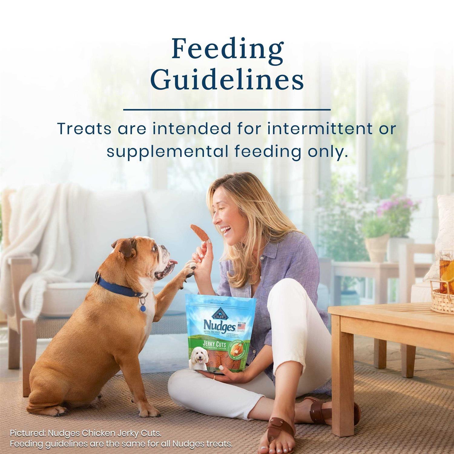 Blue Buffalo Nudges Homestyle Chicken Natural Dog Treats - Pet Supplies online store