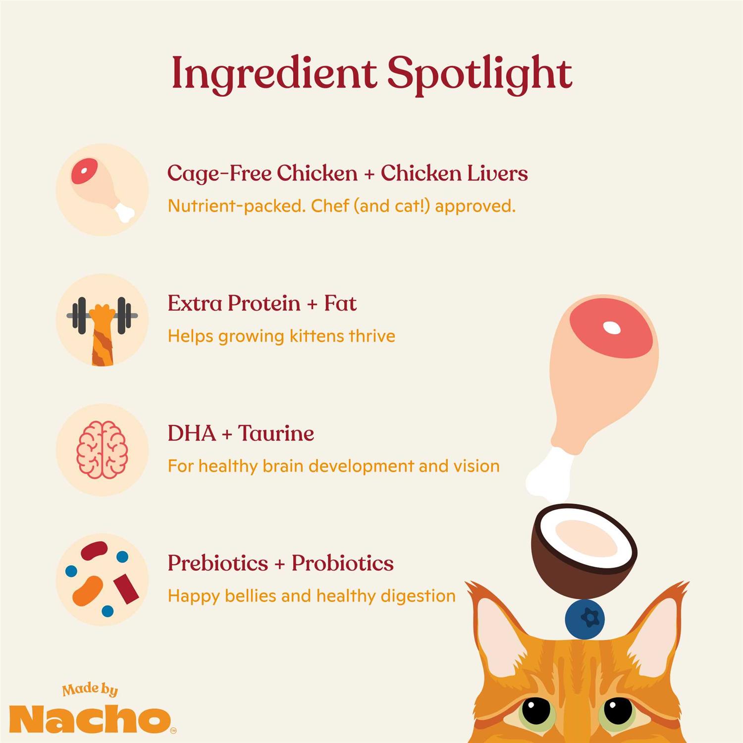 Made by Nacho Cage-Free Chicken Chicken Liver & Bone Broth Recipe Kittens Dry Cat Food - Pet Supplies online store