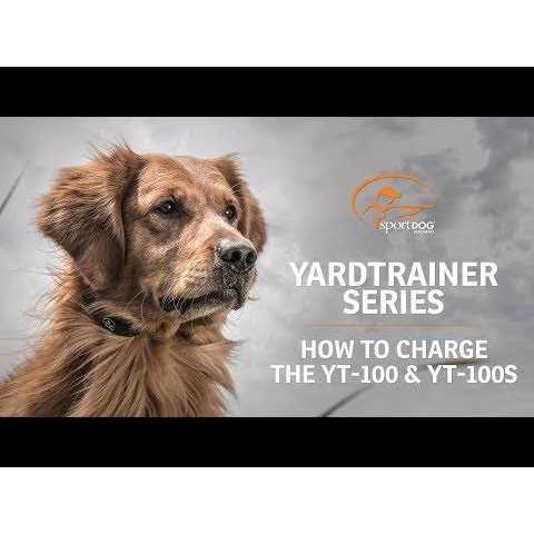 SportDOG YardTrainer 100 - Pet Supplies online store
