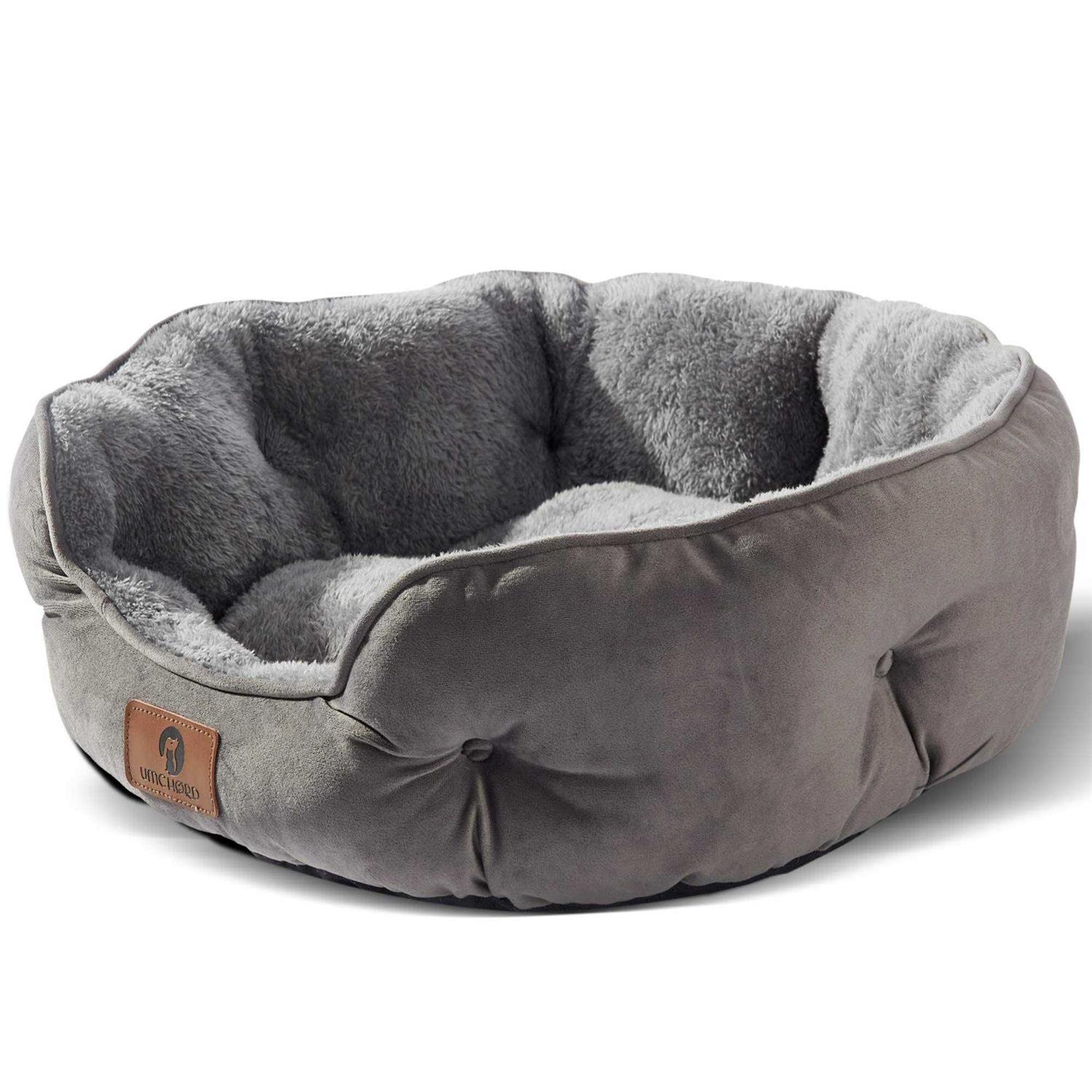 Asvin Small Dog Bed for Small Dogs, Cat Beds for Indoor Cats, Pet Bed for Puppy and Kitty - Pet Supplies online store